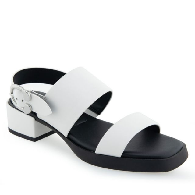 White Pu