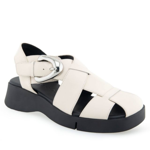 Eggnog Leather