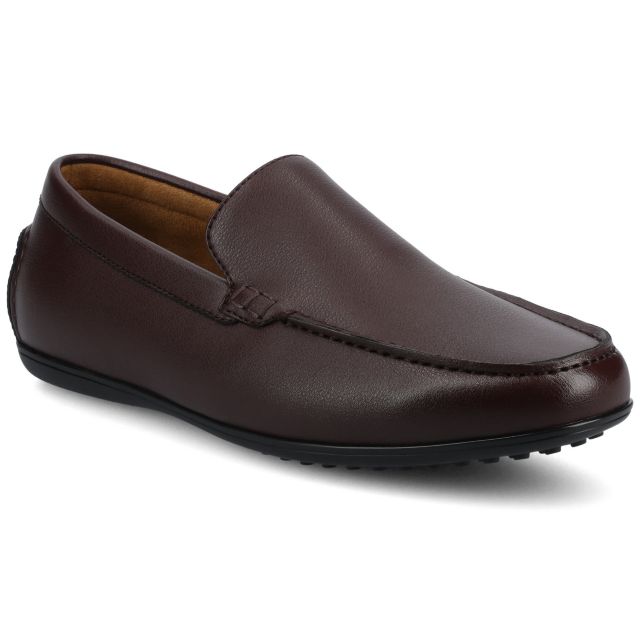 Oxblood