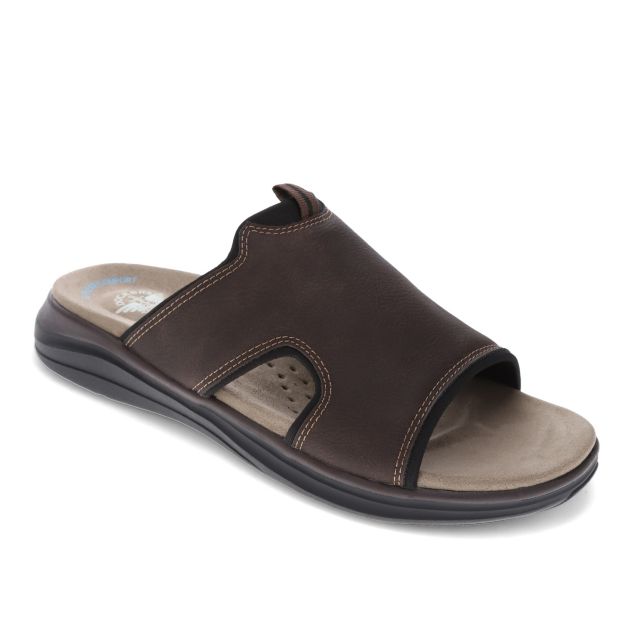 Dark Brown/Black