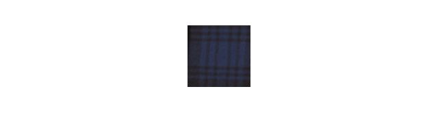 BLUE/RED PLAID