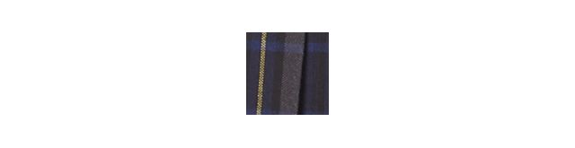 BLUE/GOLD PLAID