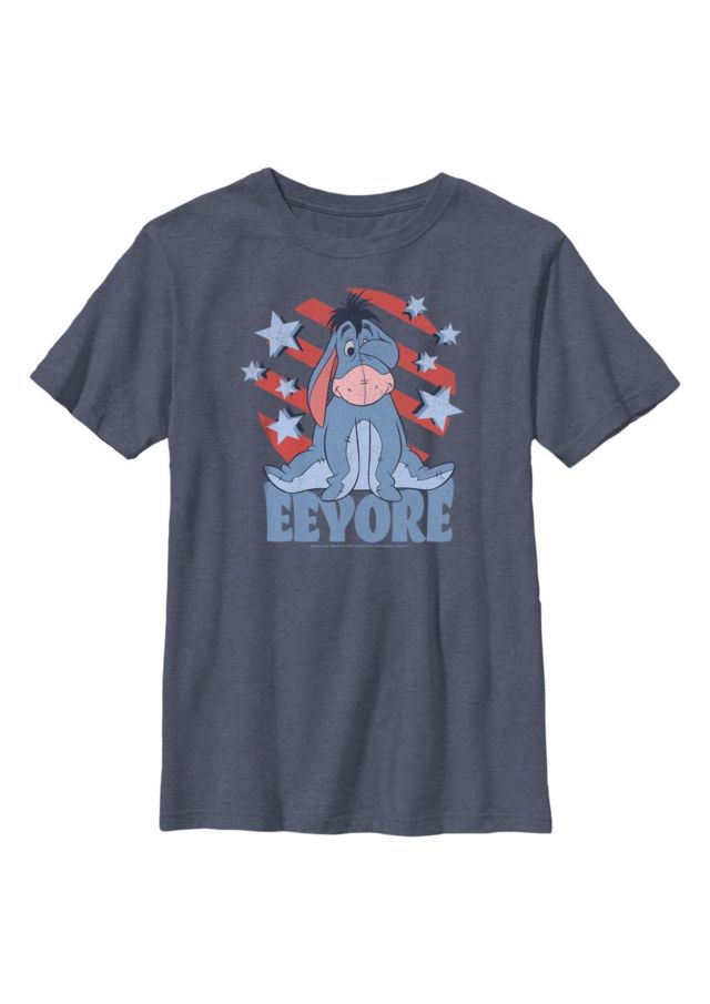 NAVY HTR