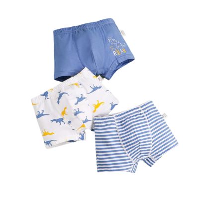 Dinosaurs Boxers 3 Pack