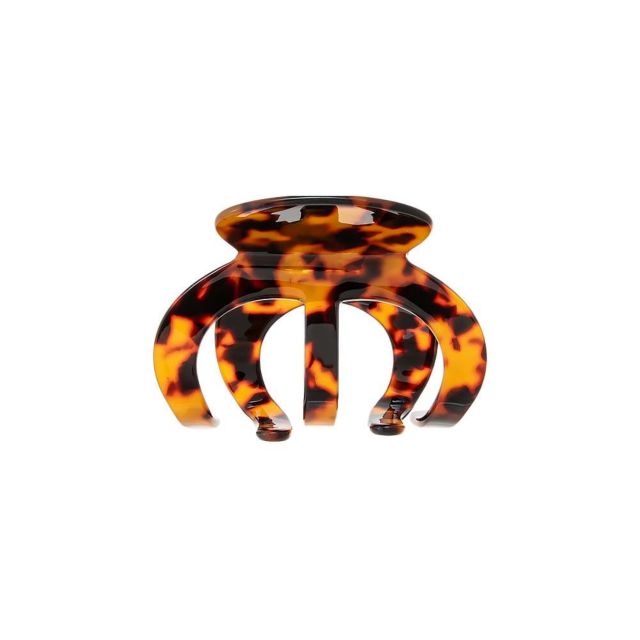 Dark Tortoise