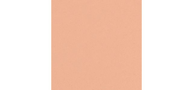 Cream Chamois (CN 40)