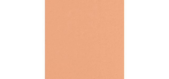 Porcelain Beige (CN 62)