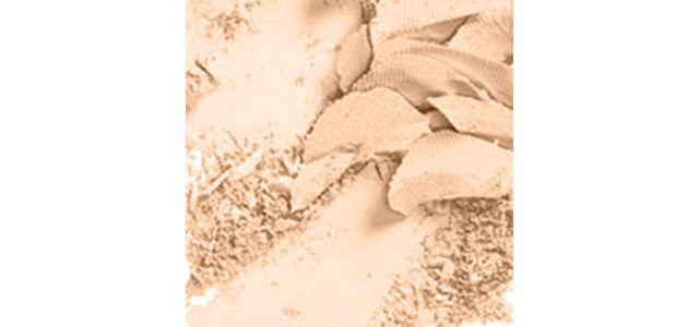 NC20