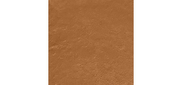 Neutral Honey (N-060)