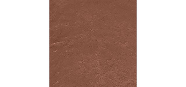 Cool Walnut (C-096)