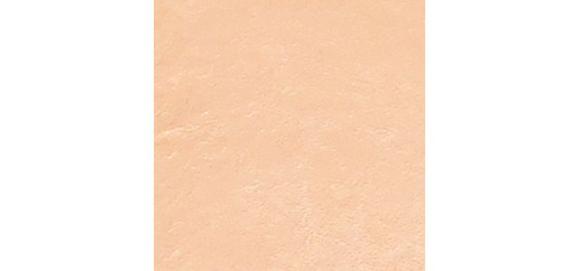 Neutral Porcelain (N-010)