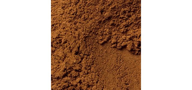 Warm Walnut