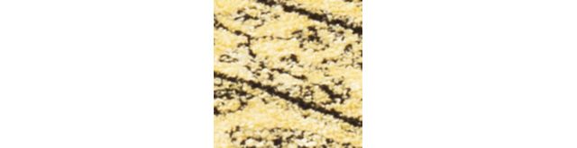 Gold/Black