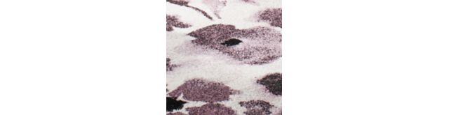 Ivory/Purple