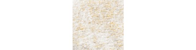 Creme/Gold