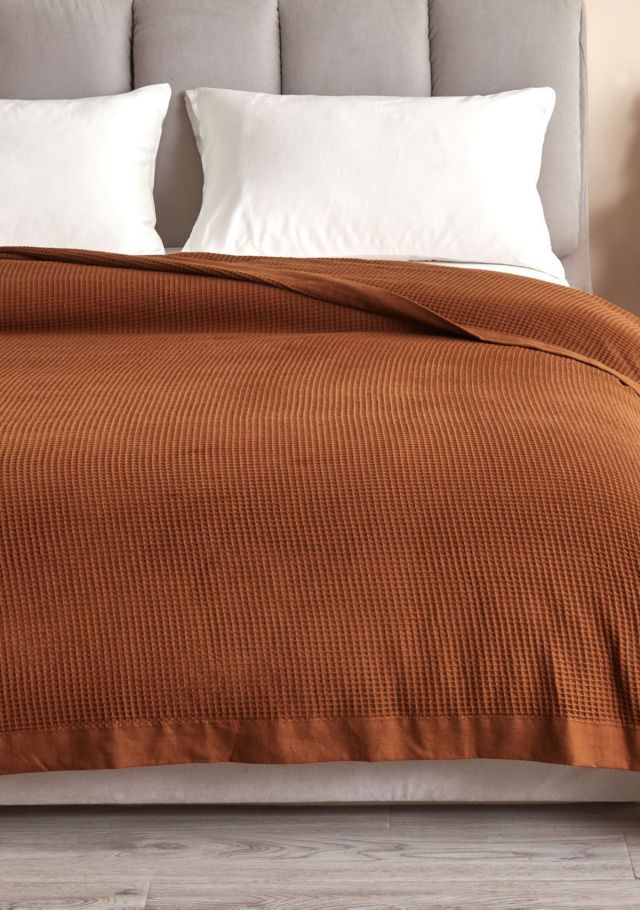 Terracotta
