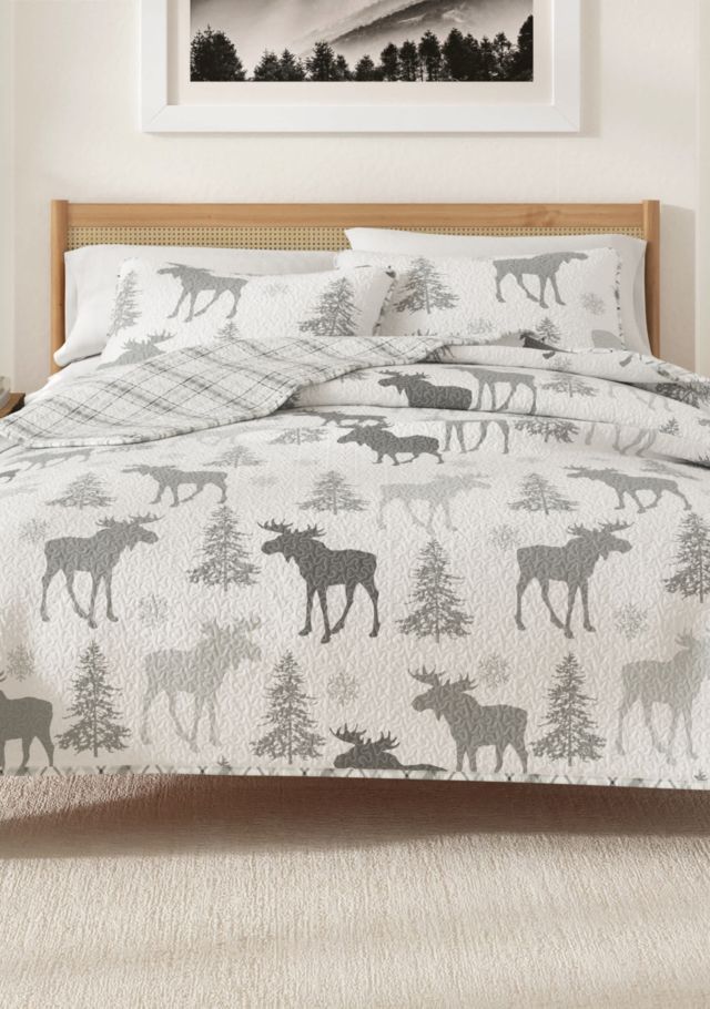 Moose Grey