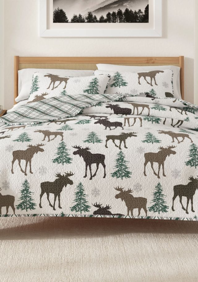 Brown Moose
