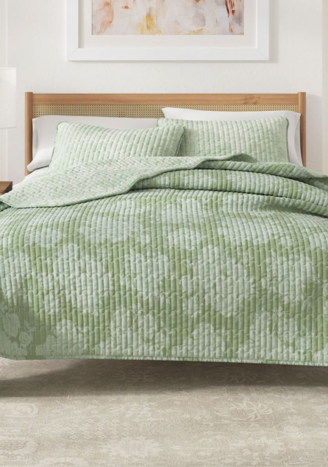 Eucalyptus