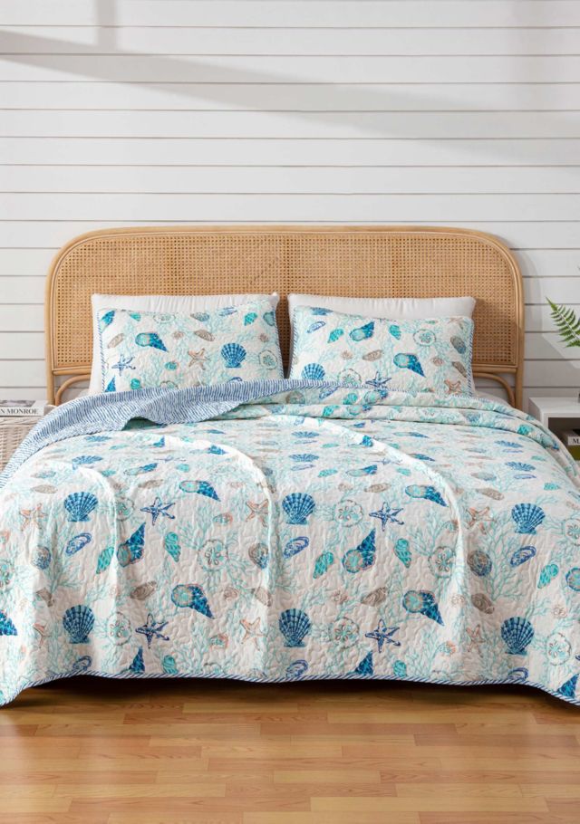 Blue Coral