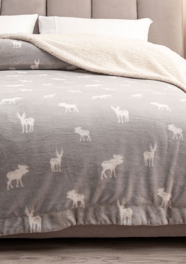 Grey Moose