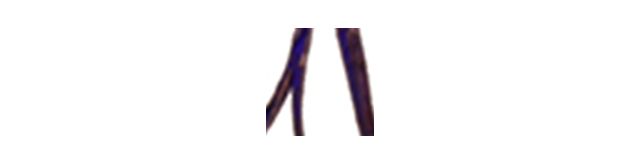 Multi