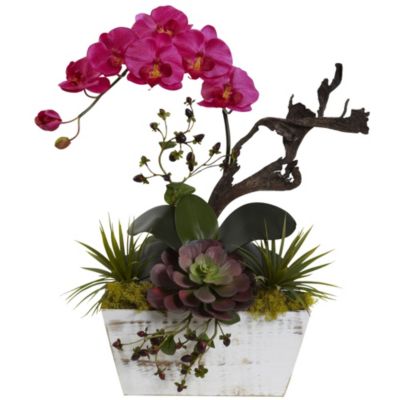 Orchid and Succulent Garden with White Wash Planter
