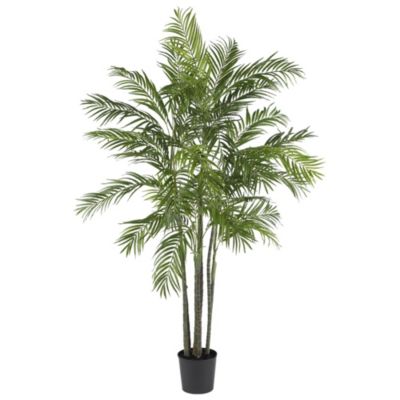 6-Foot Areca Palm Silk Tree