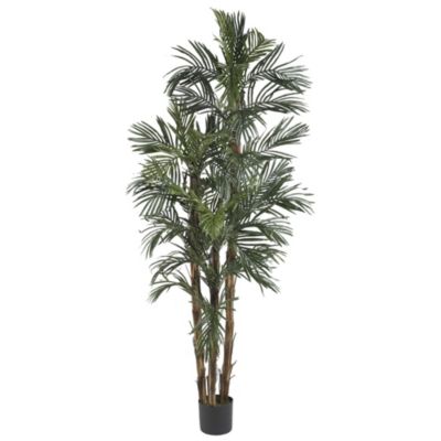 6-Foot Robellini Palm Silk Tree