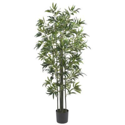 6' Bamboo Silk Tree - Green Trunks