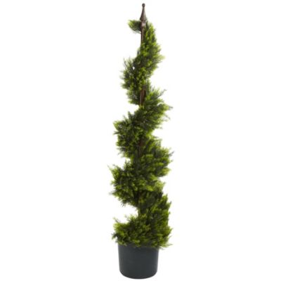 4-Foot Cypress Spiral Silk Tree