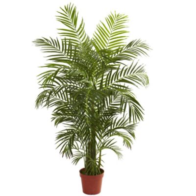 4.5-Foot Areca Palm UV Resistant (Indoor/Outdoor)