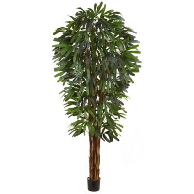 84-Inch Raphis Silk Palm Tree