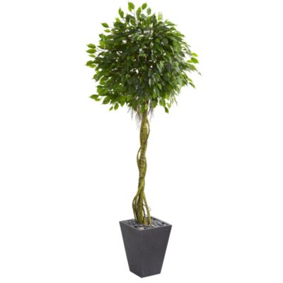 6-Foot Ficus Artificial Tree in Slate Planter UV Resistant (Indoor/Outdoor)