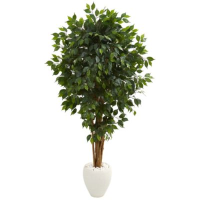6-Foot Ficus Artificial Tree in White Planter