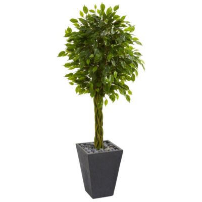 5-Foot Braided Ficus Artificial Tree in Slate Planter UV Resistant (Indoor/Outdoor)