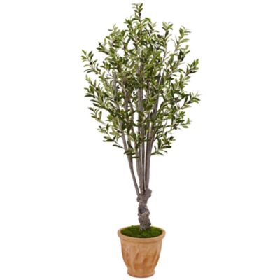 5-Foot Olive Artificial Tree in Terracotta Planter