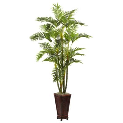 6.5' Areca with Decorative Planter