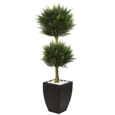 4.5-Foot Cypress Topiary with Black Planter, UV Resistant (Indoor/Outdoor)