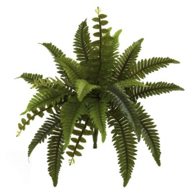 14-Inch Boston Fern Artificial Plant (Set of 6)