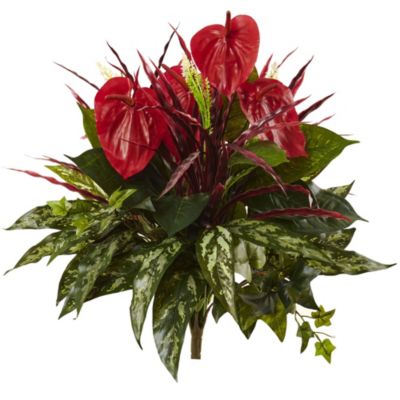 24-Inch Mixed Anthurium Bush (Set of 2)