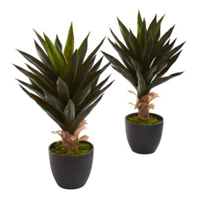 Agave Artificial Plant (Set of 2)