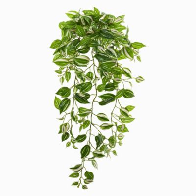 32-Inch Purple Heart Evergreen Hanging Artificial Plant (Set of 2) (Real Touch)