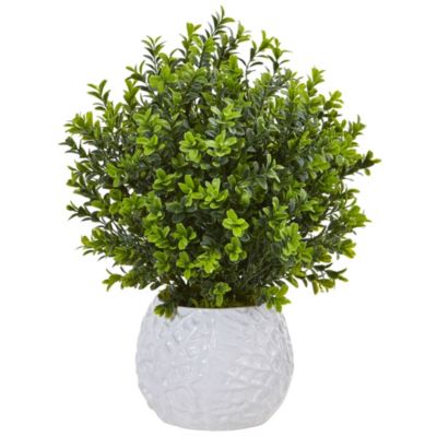 Boxwood Evergreen Artificial Plant in White Vase (Indoor/Outdoor)