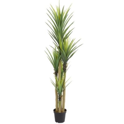 Dracaena Artificial Plant