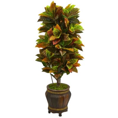 5.5-Foot Croton Artificial Plant in Decorative Planter (Real Touch)