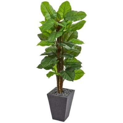 5-Foot Large Leaf Philodendron Artificial Plant in Slate Planter (Real Touch)