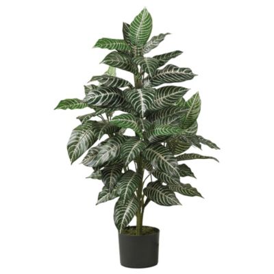 3 Foot Zebra Silk Plant