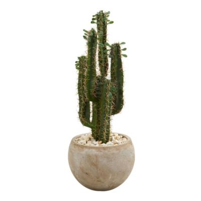 2.5-Foot Cactus Artificial Plant in Bowl Planter