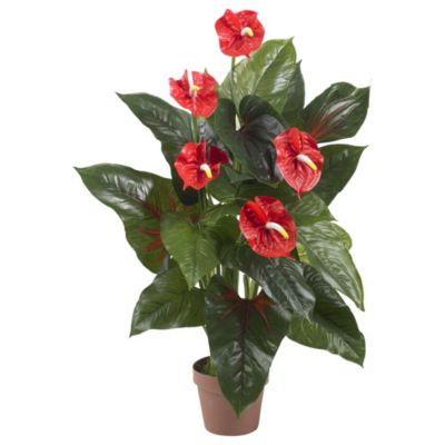 3' Anthurium Silk Plant (Real Touch) 